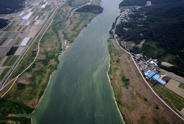 낙동강 ‘녹조라떼’ 사라질까