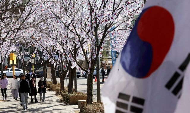 [포토] 3·1절 앞둔 효창공원 “태극기 꽃 피었네”