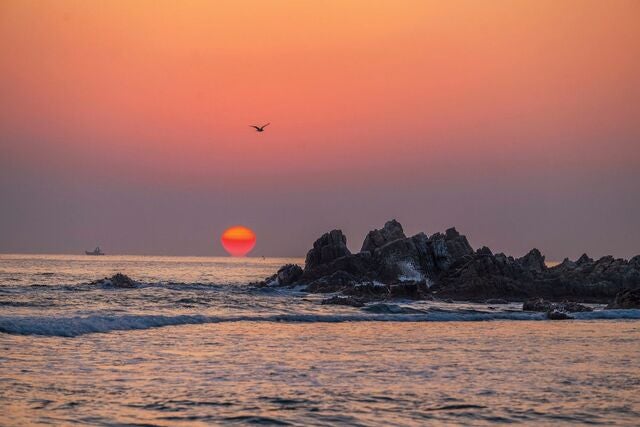 삼일절 맞아 ‘치열했던 만세 행진’ 강원도 양양… 동해에 떠오르는 태양처럼 강렬했던 ‘대한 독립 만세’