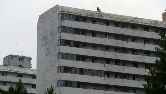 서울 강남구 대치동 은마아파트의 모습. 뉴시스