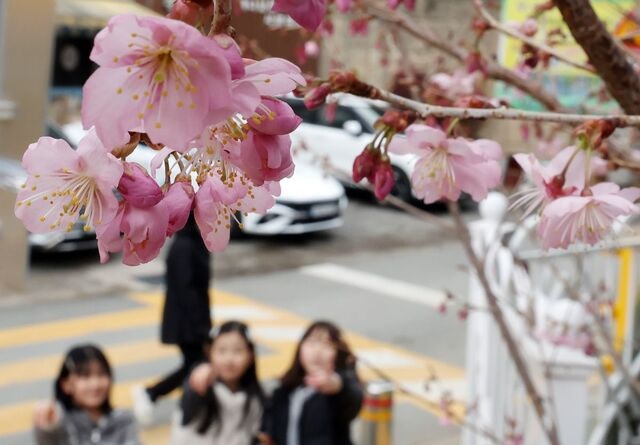 [포토] 어김없이 찾아오는 봄