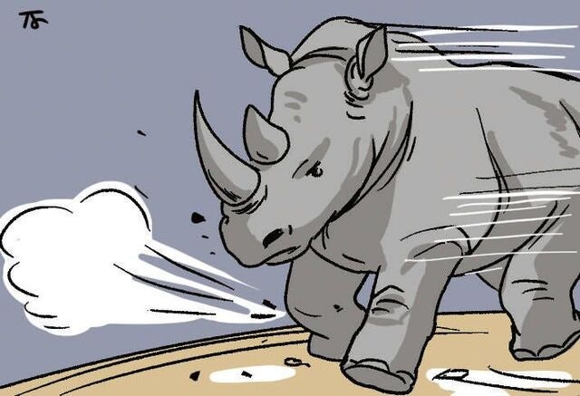 [한마당] 회색 코뿔소