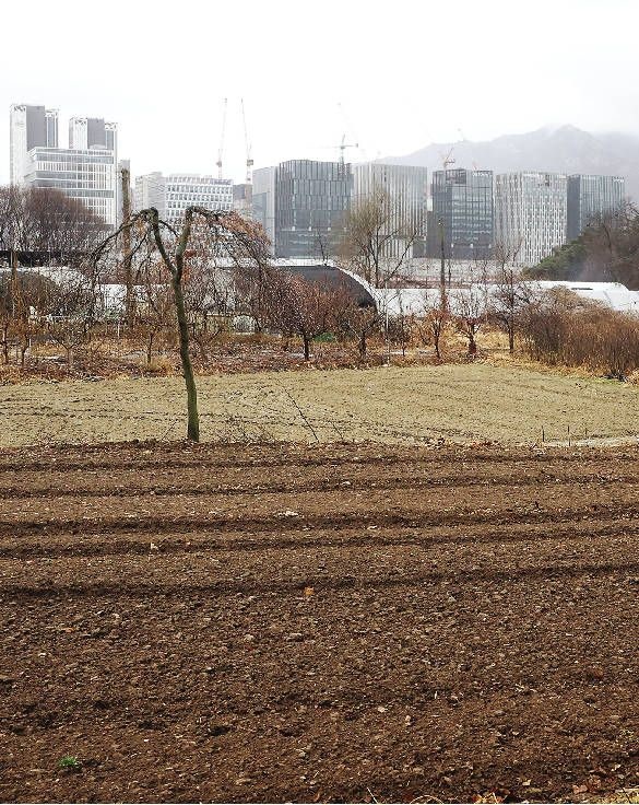 정부, ‘농지 투기’ 첫 전수조사 착수… 수도권·토허제구역 정조준