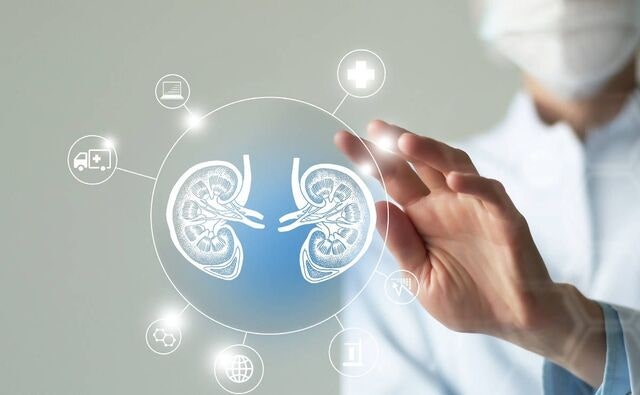 약 먹어도 안 잡히는 혈압… 숨은 원인은 ‘망가진 콩팥’