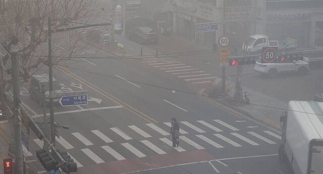 따뜻한 남풍 덕에… 올봄 초미세먼지 걱정 덜겠네