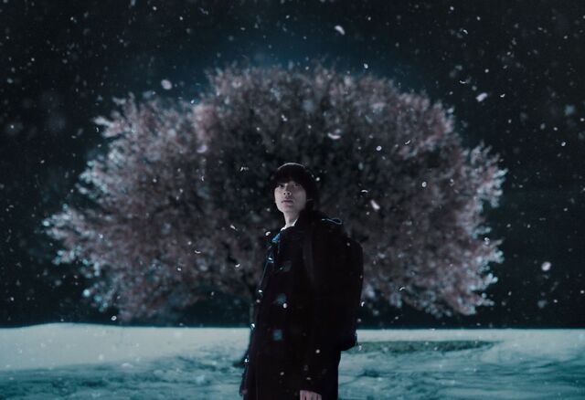 19년 전 애니메이션 ‘초속 5센티미터’, 실사로 되살리다