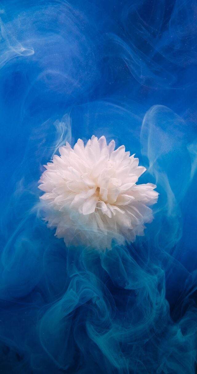 [목양실에서] 선함의 번짐