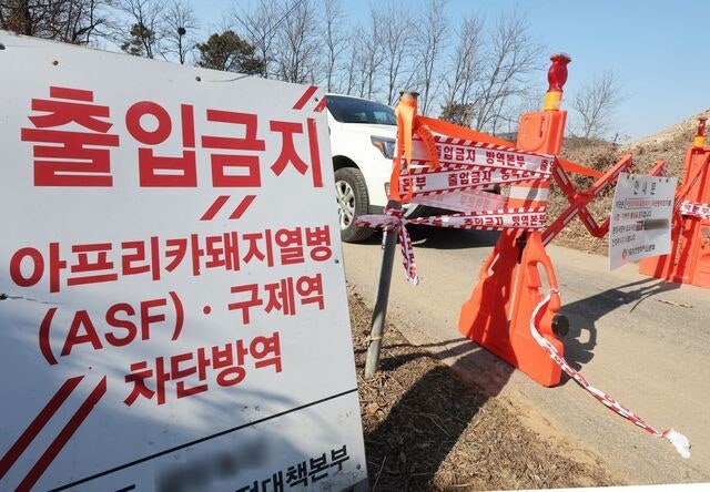 가축전염병 ‘삼중고’에 방역 비상인데… 인력·예산 모두 부족