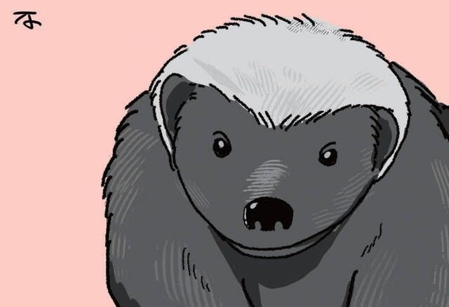 [한마당] 벌꿀오소리