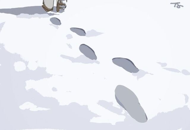 [겨자씨] 눈 덮인 들판의 발자국