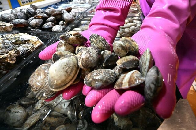 [오늘 뭐 먹지]  딸깍! 껍데기가 열릴 때 내 입도 열렸다