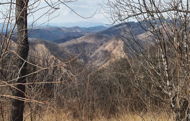 [단독] 화마 지나간 뒤… 외면당한 죽음 있었다