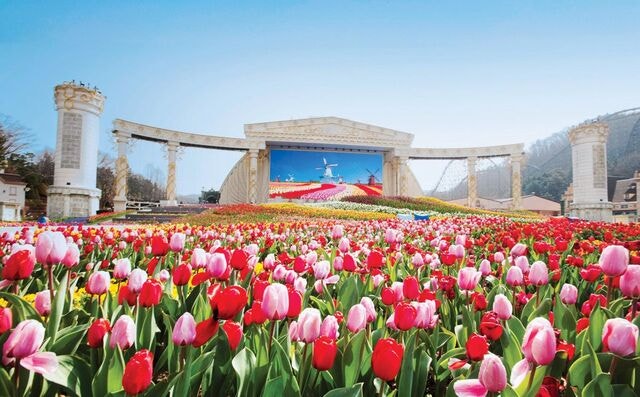 화사한 꽃·메이플스토리… 즐겨 봄