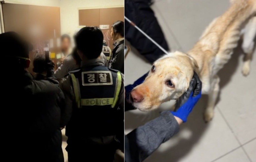 동물들이 다수 굶어 죽은 문제의 오피스텔 적발 장면. 애견훈련소 도그어스플래닛 제공