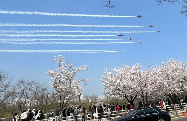 [포토] 벚꽃축제 상공 수놓는 블랙이글스