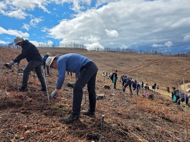 SK텔레콤·유한킴벌리, ‘산불피해’ 안동서 나무 심기