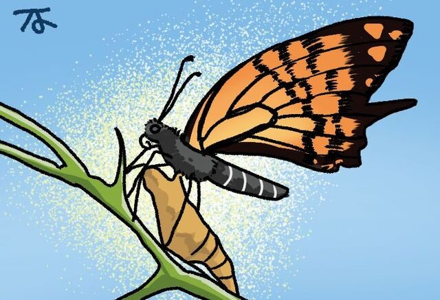 [겨자씨] 애벌레가 나비 되는 신앙