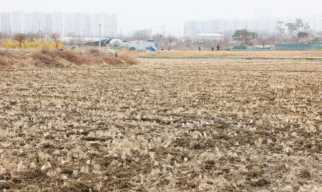 [단독] 의원님이 농사?… 63명 농지 보유