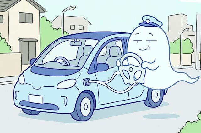 [Car스텔라] 테슬라, 완전 자율주행이라더니 ‘고스트 드라이버’