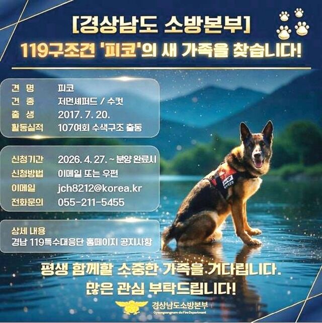 “은퇴하는 119구조견 피코, 가족을 찾습니다”