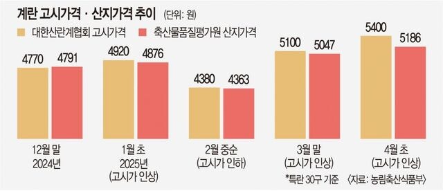 [단독] “이 지역 계란 가격 얼마”… 공정위 조사 중에도 이어진 ‘계란 시황 문자’