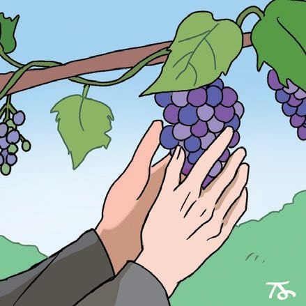 [포도밭에서 읽는 말씀] 포도밭 일꾼