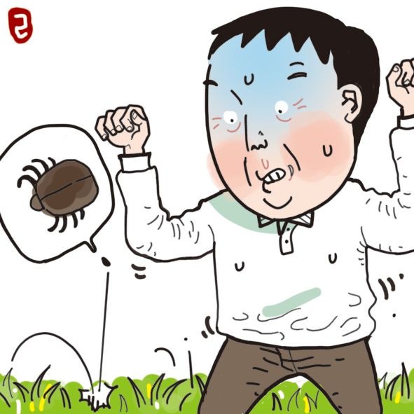 대구·경북에 ‘살인 진드기’ 주의보… “야외활동 조심하세요”