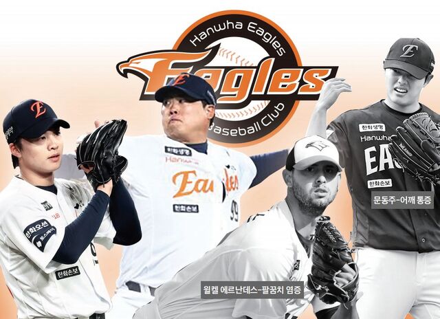 부상 또 부상… 날갯짓 버거운 독수리