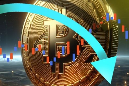 코인 지급 미루는 새 70% 폭락… 법원 “하락분 25% 배상하라”