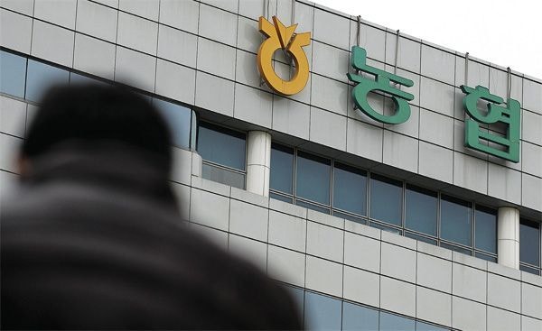 [단독] 14년간 유지 ‘농협 전산용역 부가세 면제’ 이번엔 종료되나