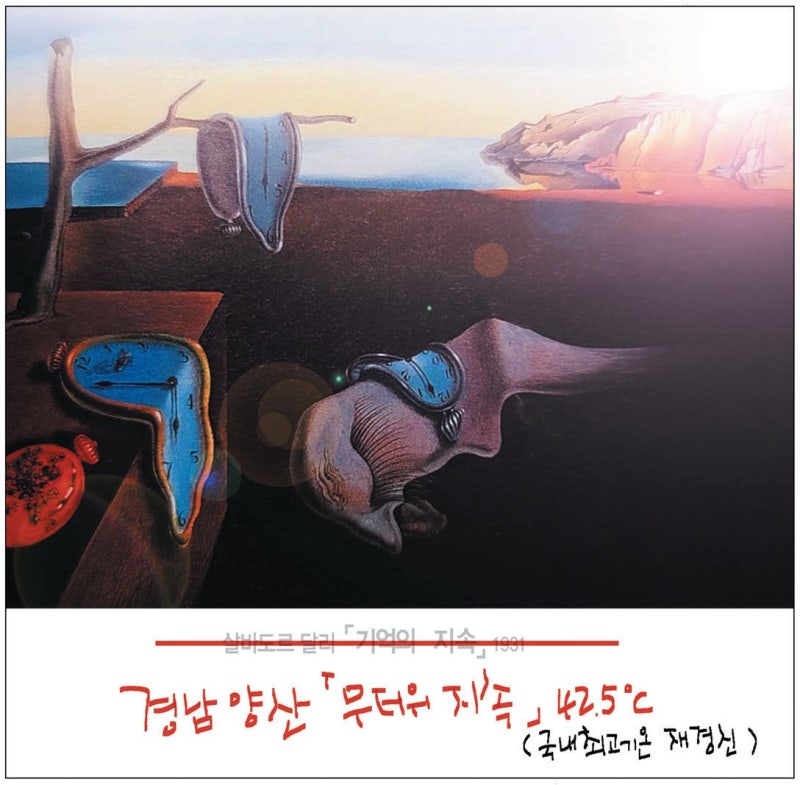 [국민만평-서민호 화백] 2026년 8월 3일