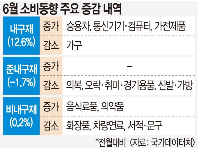6월 소비 반등, 내수 회복 아닌  ‘개소세 막판 구매’가 만든 착시