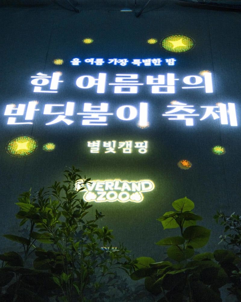 에버랜드 ‘반딧불이 축제’ 열흘간 2만명 넘게 방문