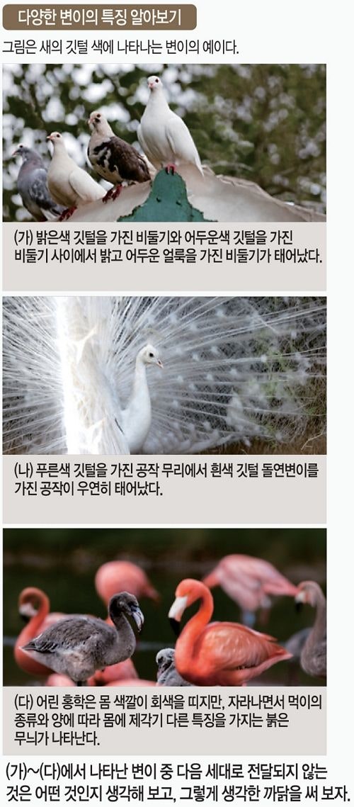 [미션 톡!] 먹이로 바뀐 홍학 색, 유전 안 된다 단정할 수 있나