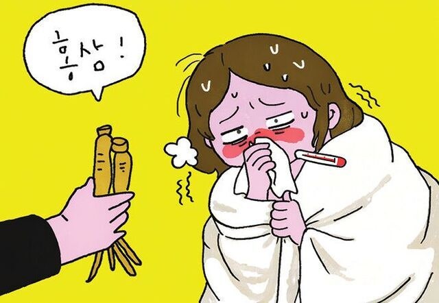 독감 유행에 면역력 관리 비상… 홍삼 효능 ‘주목’