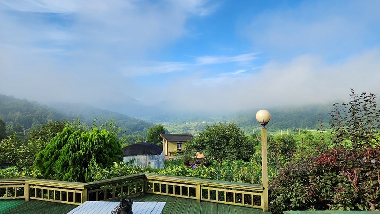 전남 곡성군 죽곡면 삼태마을은 영화 〈곡성〉의 배경이 될 정도로 빼어난 경관을 품은 마을이다. 대황강을 따라가다 ‘삼태마을’ 팻말 따라 들어서면, 빈 마을 창고에 그려진 글그림, ‘꽃보다 너’라는 문구가 객을 반긴다