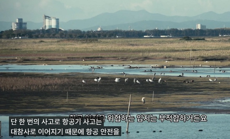 ‘미디어로 행동하라 in 새만금’ 작업에 참여한 방준식 감독은 2025년 8월 12일부터 30일간 새만금 신공항 취소 판결을 촉구하며 264.2Km을 걸은 ‘새,사람 행진’ 기록과 무안공항 조류충돌 참사를 담은 〈날