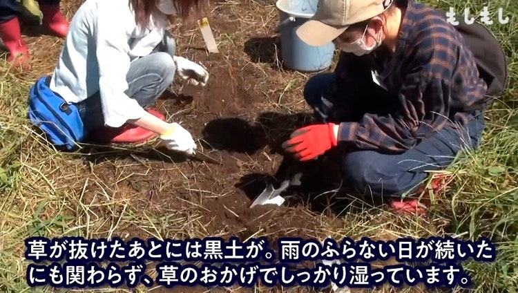 도쿄 다마 지역 커뮤니티 매체인 『もしもしWEB』에서 인물 시리즈 “TamaHito” 18번째 편으로, 유기농 교육농장 지도자 사와노보리 사나에(澤登早苗) 씨의 인터뷰와 활동 영상을 실었다. 게이센여자학원대학 학생들