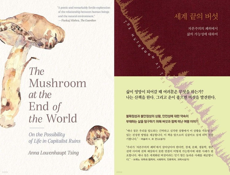 “삶이 엉망이 되어갈 때 여러분은 무엇을 하는가? 나는 산책을 한다. 그리고 운이 좋으면 버섯을 발견한다.” 애나 로웬하웁트 칭(Anna Lowenhaupt Tsing)의 『세계 끝의 버섯』은 첫 문장부터 사로잡히고