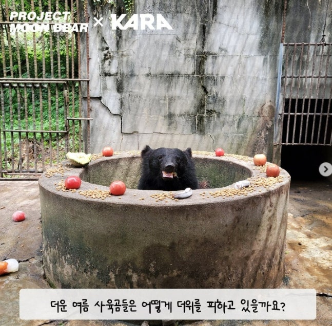 0004790831_003_20220907102403252.jpg?typ