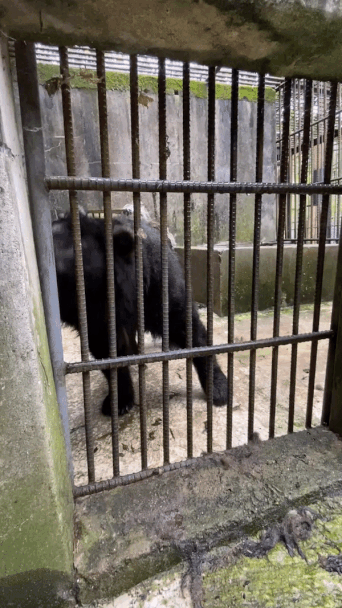 0004790831_007_20220907102403502.gif?typ