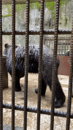 0004790831_008_20220907102403894.gif?typ