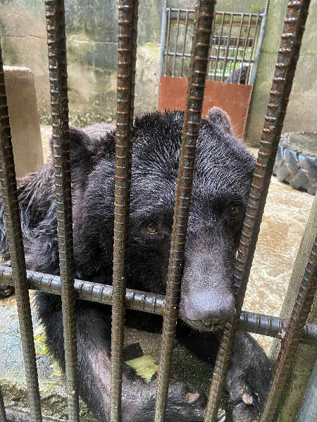 0004790831_010_20220907102404354.jpg?typ