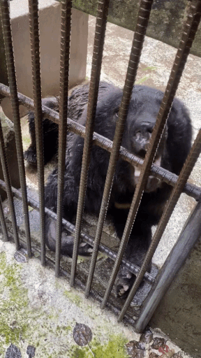 0004790831_013_20220907102404824.gif?typ