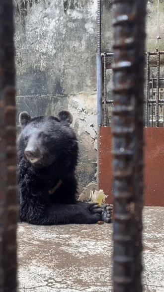 0004790831_014_20220907102405237.gif?typ