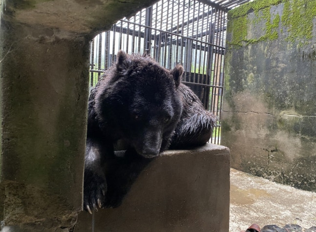 0004790831_015_20220907102405606.jpg?typ