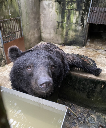 0004790831_016_20220907102405673.jpg?typ