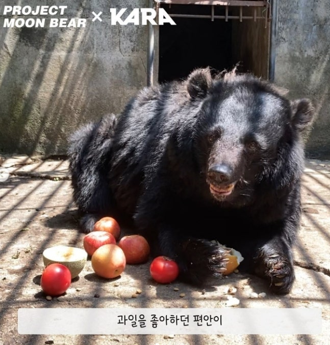 0004790831_018_20220907102405780.jpg?typ