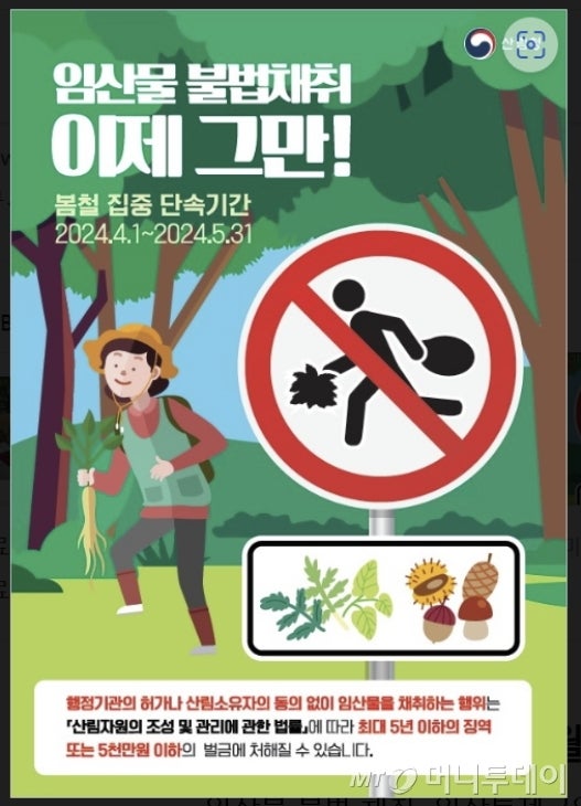 <b>산림청</b>, 5월말까지 '<b>산림</b> 내 불법행위' 집중단속