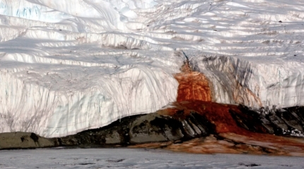 남극 대륙을 흐르는 핏빛 폭포. /사진=이미지크레디트, 라이브사이언스 캡처
